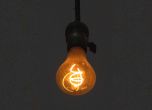 Centennial Light (Столетната крушка)