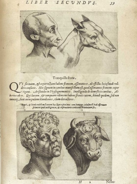 Джамбатиста дела Порта, De humana physiognomonia,
