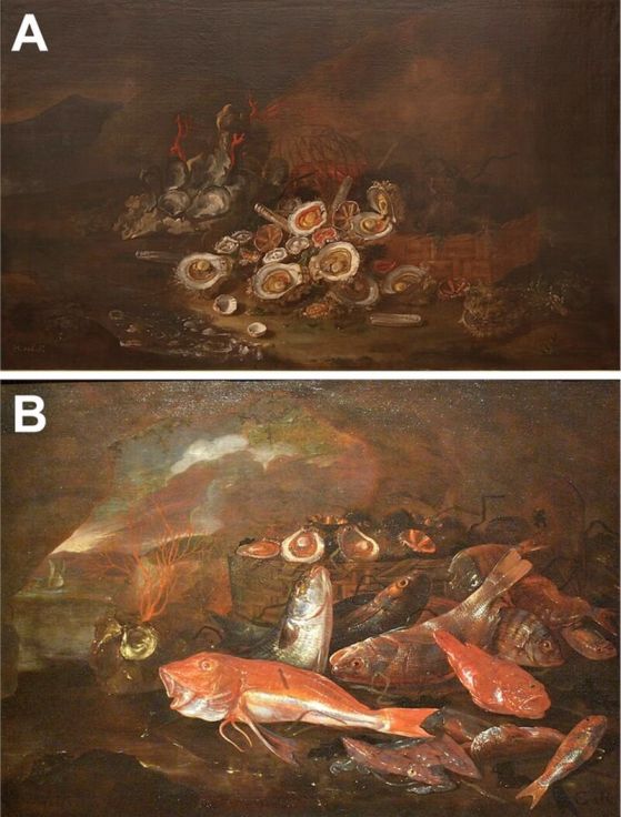 A. Маслени бои върху платно от Лот Онофрио (Неапол, 1665 г. - Неапол, 1715 г.), Natura morta con corallo e ostriche (ок. 1690 г.) [Museu de Belles Arts de València, Испания], CC-BY 4.0 (снимка: Франческо Бини), B. Маслени бои върху платно (Неапол, 1665 г. - Реко) Джузепе, 1644). Аликанте, 1695 г.), Калмари и стриди (ок. 1654-1695 г.) [Музей Каподимонте, Италия], CC-BY 4.0 (снимка: Джузепе Гуида). Кредит: Louise Merquiol et al.; https://doi.org/10.1371/journal.pone.0356273