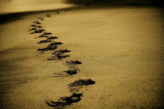 human footsteps
