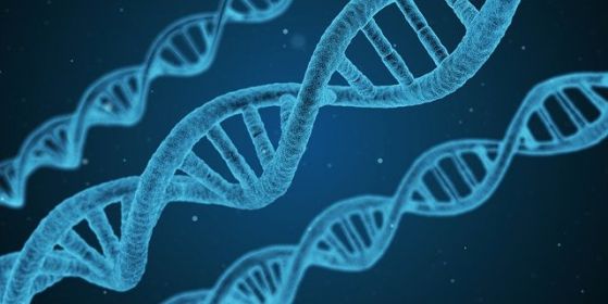 СЗО се обяви срещу необоснованото хакване на гени
