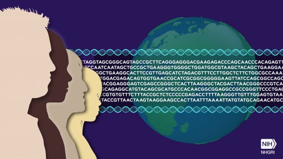 Scientists may have finally sequenced the entire human genome