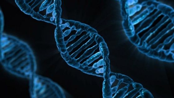За първи път редактират гени с CRISPR в Kосмоса