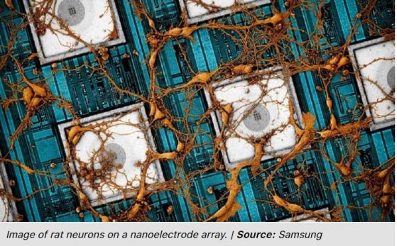 Samsung предложи копиране и вмъкване на информация от мозъчните структури в невроморфни чипове