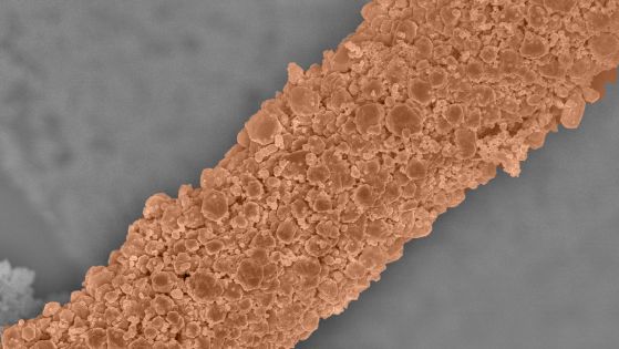 Плат с течен галий само за 5 минути убива 99% от микробите, включително и новия коронавирус