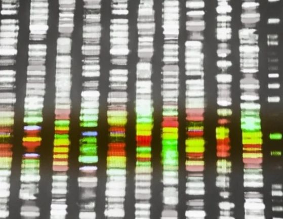 DNA_sequence