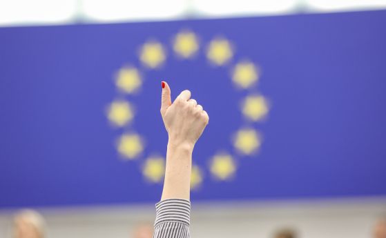 EU Parlament voting
