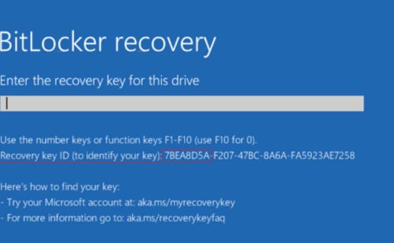 Киберексперт: Microsoft тайно е вградила задна вратичка в BitLocker