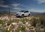 Като рицарите: тест-представяне Peugeot 2008 19