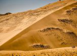 Peugeot и Камаз начело ден преди финала на Silk Way Rally 2016 13