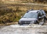 Dacia: лидер на българския пазар три години поред 17