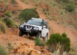 Легендата Nissan Patrol Y61 си отива от пазара със спецсерия 13