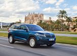 Дресировка на големи мечки: тест Skoda Kodiaq 2
