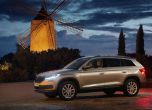 Дресировка на големи мечки: тест Skoda Kodiaq 6