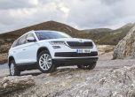 Дресировка на големи мечки: тест Skoda Kodiaq 7