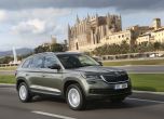 Дресировка на големи мечки: тест Skoda Kodiaq 12