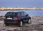 Дресировка на големи мечки: тест Skoda Kodiaq 14