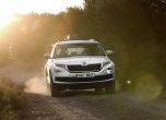 Дресировка на големи мечки: тест Skoda Kodiaq 17