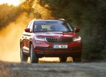 Дресировка на големи мечки: тест Skoda Kodiaq 18