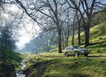 Обновеният Subaru Outback дебютира в Ню Йорк 2