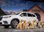 Новият Subaru Ascent е гигантски SUV с 8 места 8