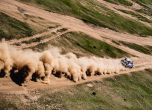 Удържаме фронта след етап 3 на Silk Way Rally 2019 14