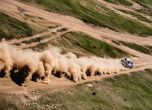 Изтощителен маратонски етап 4 на Silk Way Rally 2019 19