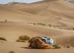 Малшанс за нашите в Silk Way Rally 2019 10