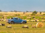Хищни гени: тест Ford Ranger Raptor 6