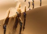 Бенавидес и Honda триумфираха в Merzouga Rally 2016 10