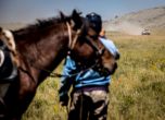 Българите успешни, драма за Петерханзел в етап 5 на Silk Way Rally 2016 2
