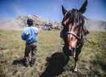 Българите успешни, драма за Петерханзел в етап 5 на Silk Way Rally 2016 29