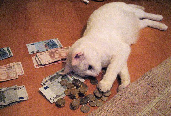 Котка наследи €10 млн., парите отиват при прислужницата