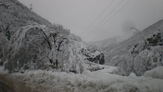 Жълт код е обявен в 17 области