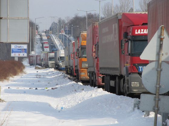 Опашка от тирове Снимка: БГНЕС