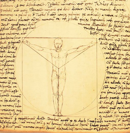 Indelible-Images-Vitruvian-Man-manuscript-drawing-2