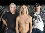 Iggy and the Stooges