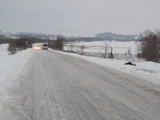 Пътущата отворени за Коледа. Снимка БГНЕС