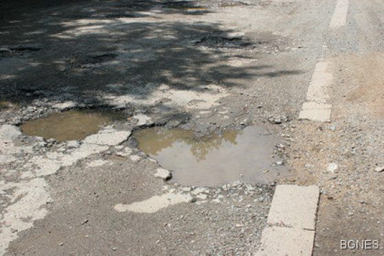 Снимка: БГНЕС