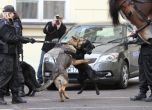 Израелец ухапа полицейско куче