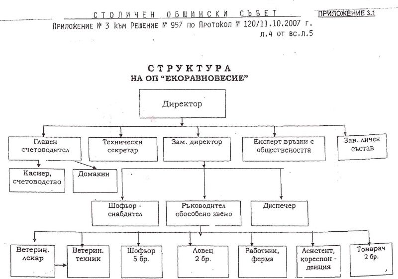 Длъжностите в 