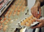 Хипермаркетите се оказаха презапасени с яйца преди Великден. Снимка: БГНЕС