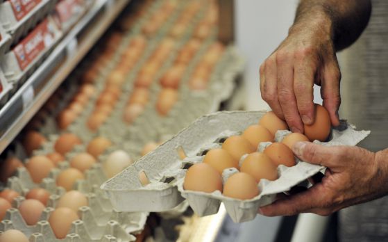 Ценова параноя препълни хипермаркетите с яйца