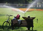 Парковете в София ще бъдат пръскани срещу кърлежи. Снимка: БГНЕС
