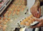 21 930 полски яйца бяха конфискувани. Снимка: БГНЕС