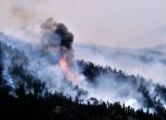 180 горски пожара бушуват в Сибир