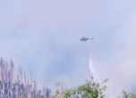 Лесовъди: Пожарът е от човешка дейност
