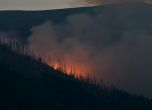 Пожар гори в Стара планина край Вършец