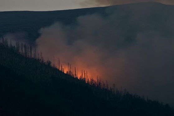 Пожар гори в Стара планина край Вършец