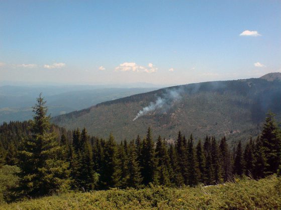 Най-ранната снимка на пожара на Витоша. Снимка: БАССЕС